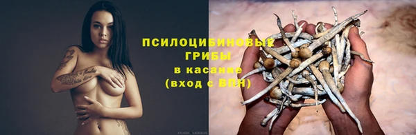 прущая мука Кодинск