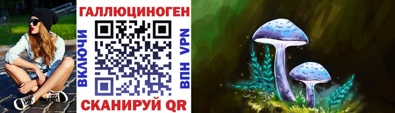 Галлюциногенные грибы мухоморы  Купить  Пионерский 