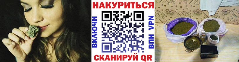 Купить где  Пионерский  Каннабис OG Kush 